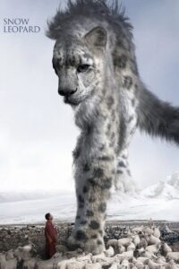 Snow Leopard 2023 on netflix