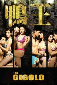 The Gigolo 2015 on netflix