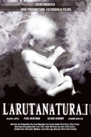 The Natural Route 2004 on netflix