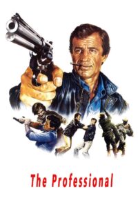 The Professional 1981 on netflix