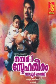 No: 1 Snehatheeram Banglore North 1995 on netflix