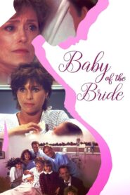 Baby of the Bride 1991 on netflix
