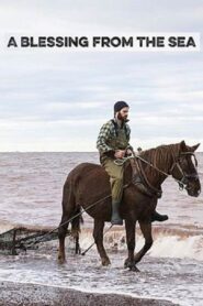 A Blessing from the Sea 2017 on netflix
