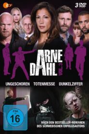Arne Dahl – Mörkertal 2015 on netflix