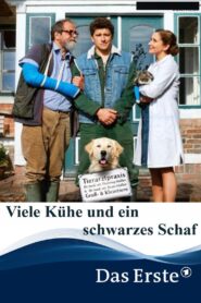 Viele Kühe und ein schwarzes Schaf 2020 on netflix