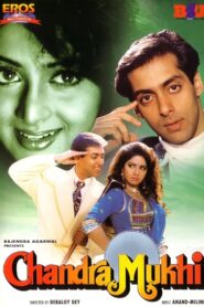 Chandra Mukhi 1993 on netflix