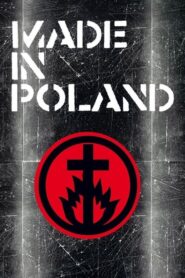 Made in Poland 2010 on netflix