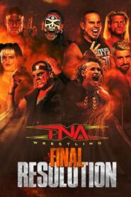 TNA Final Resolution 2024 2024 on netflix