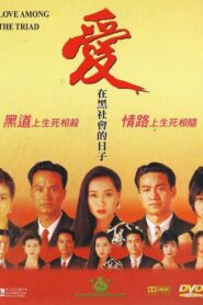 Love Among the Triad 1993 on netflix