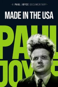 Made in the USA 1993 on netflix