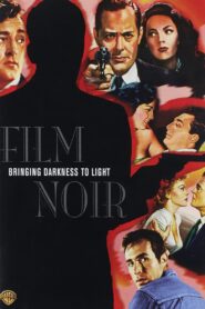 Film Noir: Bringing Darkness to Light 2006 on netflix