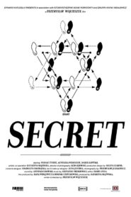 Secret 2011 on netflix