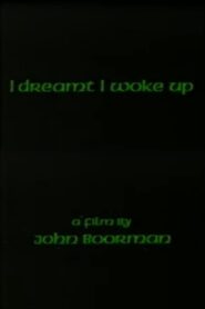 I Dreamt I Woke Up 1991 on netflix