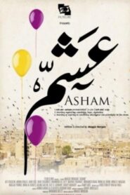 Asham 2012 on netflix