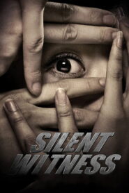 Silent Witness 2013 on netflix