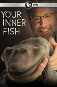 Your Inner Fish 2014 on netflix