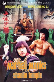 Martial Monks of Shaolin Temple 1983 on netflix