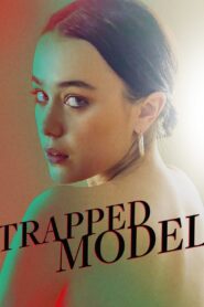 A Model Kidnapping 2019 on netflix