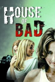 House of Bad 2013 on netflix