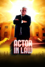 Actor in Law 2016 on netflix