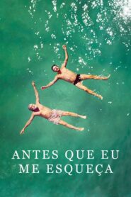 Antes Que Eu Me Esqueça 2017 on netflix
