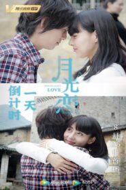 Moonlight Love 2012 on netflix