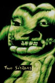 Two Sisters 1991 on netflix