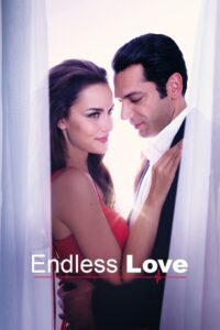 Endless Love 2017 on netflix