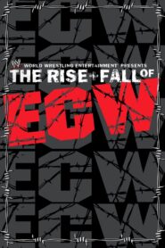 WWE: The Rise + Fall of ECW 2004 on netflix