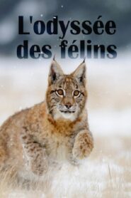 The Odyssey Of Felines 2015 on netflix