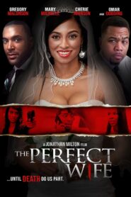 The Perfect Wife 2017 on netflix