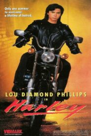Harley 1991 on netflix