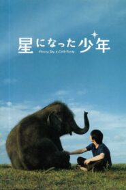 Shining Boy and Little Randy 2005 on netflix