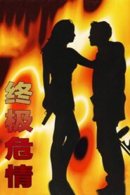 Final Target 1994 on netflix
