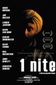 1nite 2004 on netflix