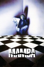 Fair Game 1988 on netflix