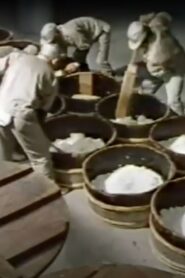 Kimoto 1980 on netflix