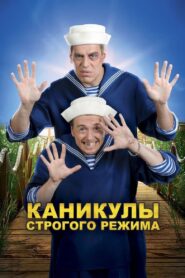 High Security Vacation 2009 on netflix