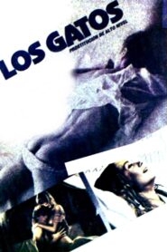 High Class Affair 1985 on netflix