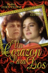 Un corazón para dos 1990 on netflix
