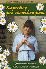 Daisies for the Lady of the Manor 1981 on netflix
