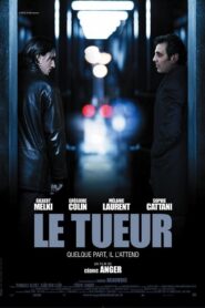 The Killer 2008 on netflix