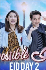 Shaadi Impossible 2019 on netflix