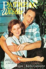 Eye on the Sparrow 1987 on netflix