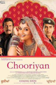 Chooriyan 2015 on netflix