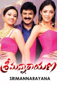 Srimannarayana 2012 on netflix
