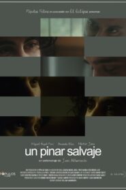 Un pinar salvaje 2023 on netflix