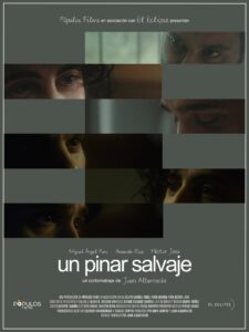 Un pinar salvaje 2023 on netflix