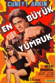 The Biggest Punch 1983 on netflix