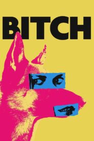 Bitch 2017 on netflix